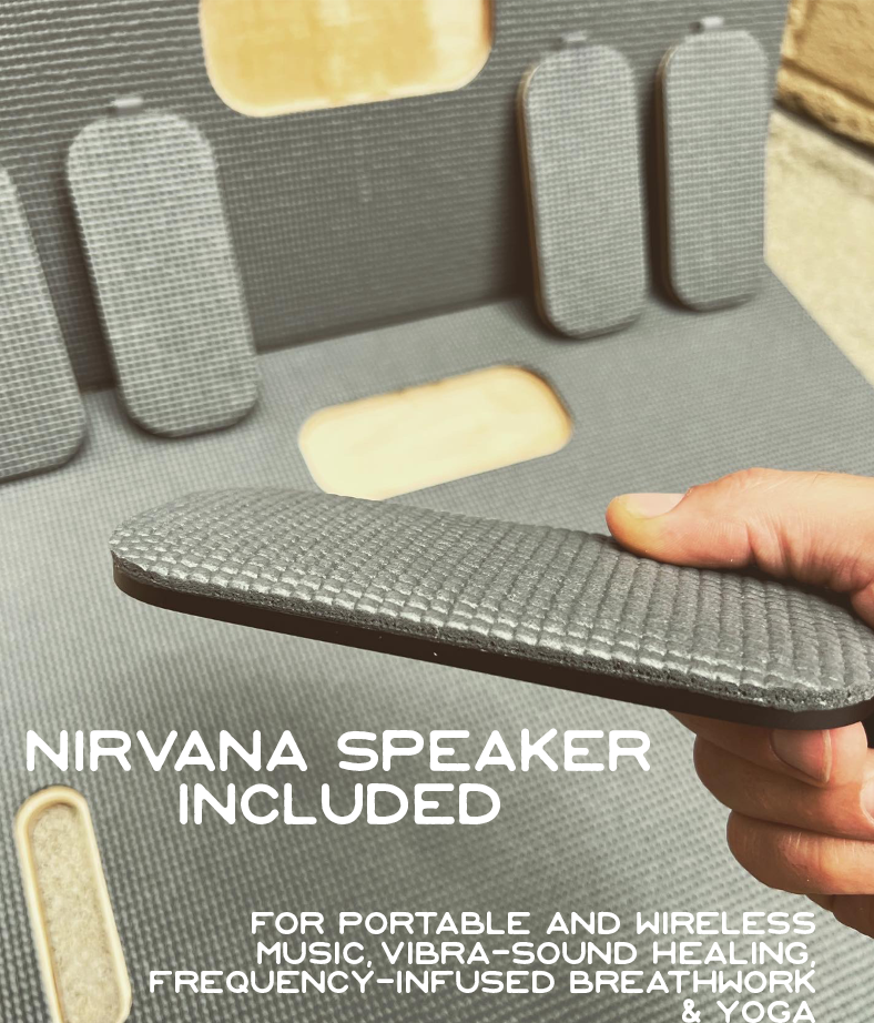 ViBRA-Sound NiRVANA Model